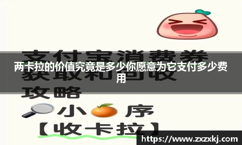 两卡拉的价值究竟是多少你愿意为它支付多少费用